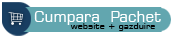 Cumpara web design site PROFESIONAL cu gazduire web